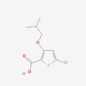 5-Chloro-3-isobutoxythiophene-2-carboxylic acid