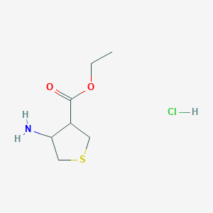 molecular formula C7H14ClNO2S B12062946 Ethyl 4-aminotetrahydrothiophene-3-carboxylate hydrochloride 