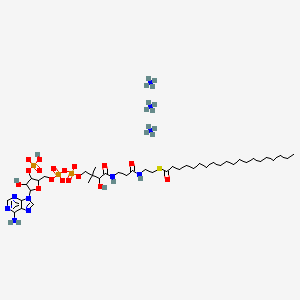 molecular formula C41H83N10O17P3S B12063494 arachidoyl Coenzyme A (ammonium salt) 