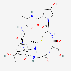 molecular formula C34H46N8O10S B1206387 18-Hydroxy-34-(1-hydroxyethyl)-28-(2-hydroxypropyl)-23,31-dimethyl-12-thia-10,16,22,25,27,30,33,36-octazapentacyclo[12.11.11.03,11.04,9.016,20]hexatriaconta-3(11),4,6,8-tetraene-15,21,24,26,29,32,35-heptone CAS No. 25030-32-4