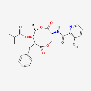 molecular formula C25H28N2O8 B1206706 (3S,6S,7R,8R)-8-苄基-3-{[(3-羟基吡啶-2-基)羰基]氨基}-6-甲基-4,9-二氧代-1,5-二氧杂环庚-7-基 2-甲基丙酸酯 