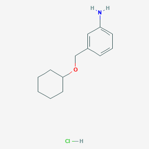 Benzenamine, 3-[(cyclohexyloxy)methyl]-, hydrochloride