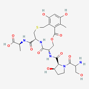 molecular formula C26H35N5O12S B1206860 (2S)-2-[[(5R,8S)-8-[[(2S,3R)-1-(2-氨基-3-羟基-丙酰)-3-羟基-吡咯烷-2-羰基]氨基]-14,16-二羟基-13-甲基-7,11-二氧代-10-氧杂-3-硫-6-氮杂双环[10.4.0]十六烷-1(16),12,14-三烯-5-羰基]氨基]丙酸 
