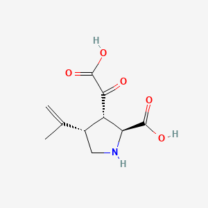 molecular formula C10H13NO5 B1206918 alpha-Ketokainic acid CAS No. 75232-58-5