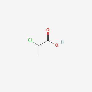 molecular formula C3H5ClO2<br>CH3CHClCOOH<br>C3H5ClO2 B1206957 2-氯丙酸 CAS No. 28554-00-9
