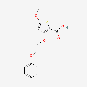 5-Methoxy-3-(2-phenoxyethoxy)thiophene-2-carboxylic acid