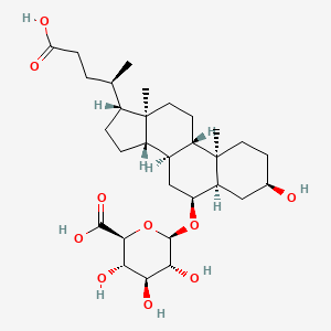 B1207027 Hyodeoxycholate-6-O-glucuronide CAS No. 76060-17-8