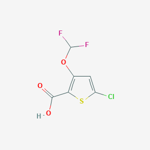 5-Chloro-3-(difluoromethoxy)thiophene-2-carboxylic acid