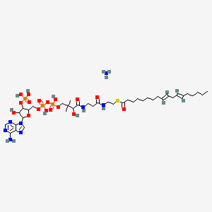 molecular formula C39H69N8O17P3S B12072596 (9Z,12Z-octadecadienoyl) Coenzyme A (ammonium salt) 