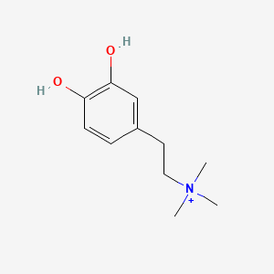molecular formula C11H18NO2+ B1207361 Coryneine CAS No. 7224-66-0