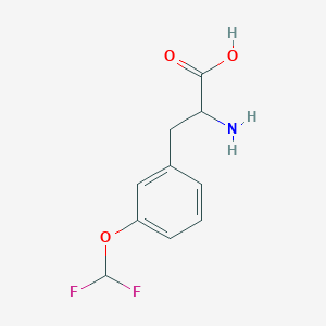 molecular formula C10H11F2NO3 B12074684 2-Amino-3-(3-(difluoromethoxy)phenyl)propanoic acid 