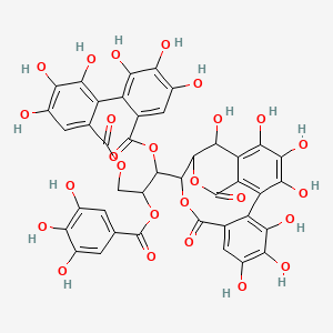 molecular formula C41H28O26 B1207473 Stachyurin CAS No. 79786-01-9