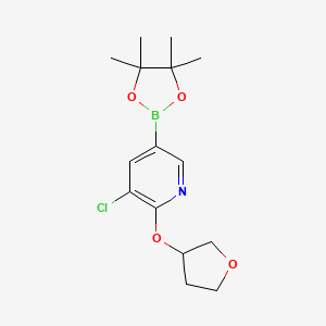 3-Chloro-2-((tetrahydrofuran-3-yl)oxy)-5-(4,4,5,5-tetramethyl-1,3,2-dioxaborolan-2-yl)pyridine