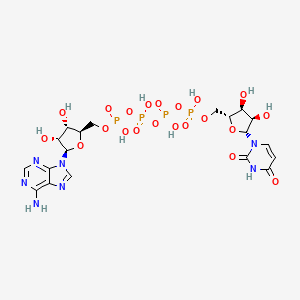 molecular formula C19H27N7O21P4 B1207486 Adenosine(5')tetraphosphate Uridine CAS No. 10527-48-7