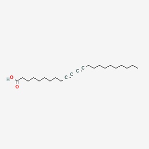 molecular formula C23H38O2 B1207521 10,12-三十二炔酸 CAS No. 66990-30-5