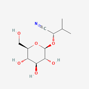 molecular formula C11H19NO6 B1207530 异杂皮素 CAS No. 66465-22-3