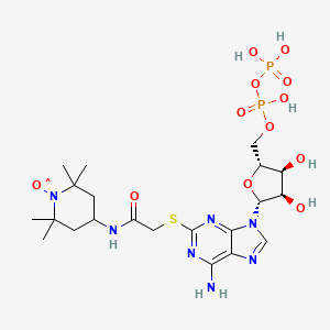 B1207583 1-Piperidinyloxy, 4-((((6-amino-9-(5-O-(hydroxy(phosphonooxy)phosphinyl)-beta-D-ribofuranosyl)-9H-purin-2-yl)thio)acetyl)amino)-2,2,6,6-tetramethyl- CAS No. 69924-32-9