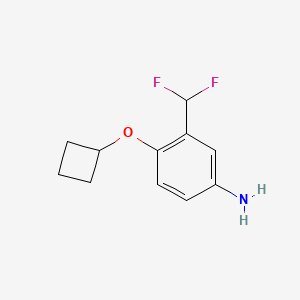 4-Cyclobutoxy-3-(difluoromethyl)aniline