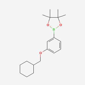 molecular formula C19H29BO3 B12077419 2-(3-(Cyclohexylmethoxy)phenyl)-4,4,5,5-tetramethyl-1,3,2-dioxaborolane 