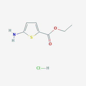 molecular formula C7H10ClNO2S B12077623 Ethyl 5-aminothiophene-2-carboxylate hydrochloride 