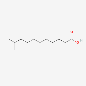 molecular formula C12H24O2 B1207798 10-甲基十一酸 CAS No. 2724-56-3