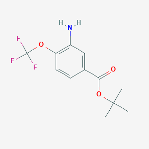 tert-Butyl 3-amino-4-(trifluoromethoxy)benzoate