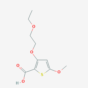 3-(2-Ethoxyethoxy)-5-methoxythiophene-2-carboxylic acid