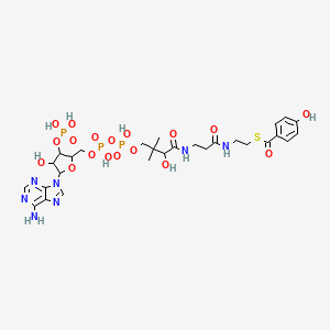 4-Hydroxybenzoyl-coenzyme A; (Acyl-CoA); [M+H]+