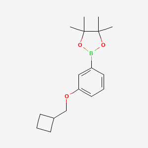 molecular formula C17H25BO3 B12080316 2-(3-(Cyclobutylmethoxy)phenyl)-4,4,5,5-tetramethyl-1,3,2-dioxaborolane 