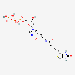 molecular formula C22H34N5O16P3S B1208039 [[5-[2,4-Dioxo-5-[3-[5-(2-oxo-1,3,3a,4,6,6a-hexahydrothieno[3,4-d]imidazol-4-yl)pentanoylamino]prop-1-enyl]pyrimidin-1-yl]-3-hydroxyoxolan-2-yl]methoxy-hydroxyphosphoryl] phosphono hydrogen phosphate 