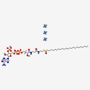 molecular formula C45H91N10O17P3S B12080718 lignoceroyl Coenzyme A (ammonium salt) 