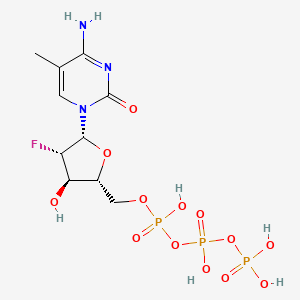 B1208333 1-(2'-Deoxy-2'-fluoro-beta-arabinofuranosyl)-5-methylcytosine triphosphate CAS No. 79570-62-0