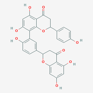molecular formula C30H22O10 B1208386 Tetrahydroamentoflavone CAS No. 48236-96-0