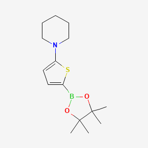 Piperidine, 1-[5-(4,4,5,5-tetramethyl-1,3,2-dioxaborolan-2-yl)-2-thienyl]-