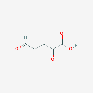 molecular formula C5H6O4 B1208482 2,5-二氧代戊二酸 CAS No. 1926-54-1