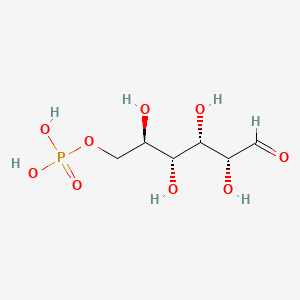 molecular formula C6H13O9P B1208527 D-Glucose 6-phosphate CAS No. 56-73-5