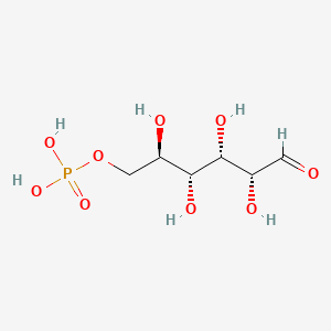 D-Glucose 6-phosphate