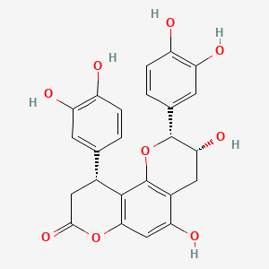 molecular formula C24H20O9 B1208537 cinchonain Ib CAS No. 85081-24-9