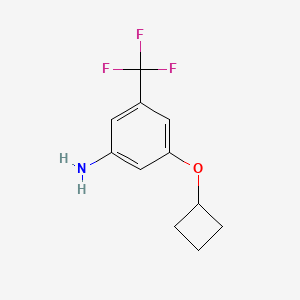 3-Cyclobutoxy-5-(trifluoromethyl)aniline