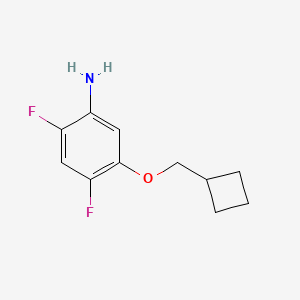 molecular formula C11H13F2NO B12088190 5-(Cyclobutylmethoxy)-2,4-difluoroaniline 