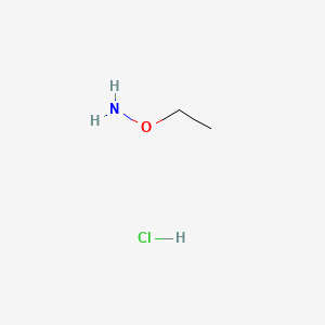 molecular formula C2H8ClNO B1209043 O-乙基羟胺盐酸盐 CAS No. 3332-29-4