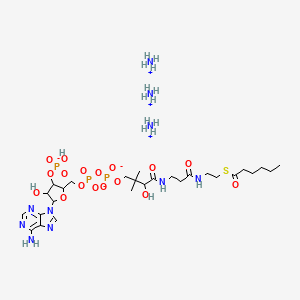 hexanoyl Coenzyme A (ammonium salt)