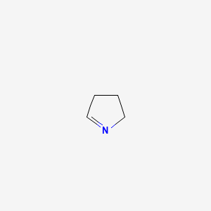 molecular formula C4H7N B1209420 1-吡咯啉 CAS No. 5724-81-2
