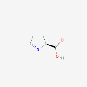 molecular formula C5H7NO2 B1209449 (S)-1-吡咯啉-5-羧酸盐 CAS No. 64199-88-8