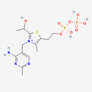 molecular formula C14H23N4O8P2S+ B1209556 2-(1-Hydroxyethyl)thiamine diphosphate CAS No. 10055-47-7