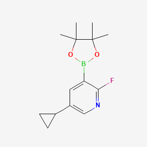 molecular formula C14H19BFNO2 B12095642 Pyridine, 5-cyclopropyl-2-fluoro-3-(4,4,5,5-tetramethyl-1,3,2-dioxaborolan-2-yl)- CAS No. 2223051-97-4