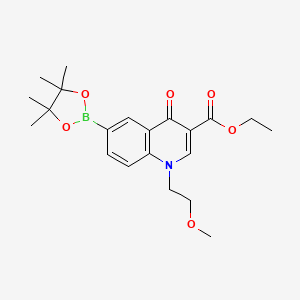 Ethyl 1-(2-methoxyethyl)-4-oxo-6-(4,4,5,5-tetramethyl-1,3,2-dioxaborolan-2-yl)-1,4-dihydroquinoline-3-carboxylate