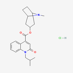 molecular formula C22H29ClN2O3 B1209586 endo-(8-Methyl-8-aza-bicyclo(3.2.1)oct-3-yl)-1-isobutyl-2-oxo-1,2-dihydro-4-quinolinecarboxylate hydrochloride CAS No. 139094-48-7