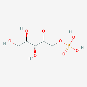 molecular formula C5H11O8P B1209738 D-Xylulose 1-phosphate CAS No. 2547-08-2