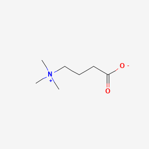 molecular formula C7H15NO2 B1209776 Actinine CAS No. 407-64-7